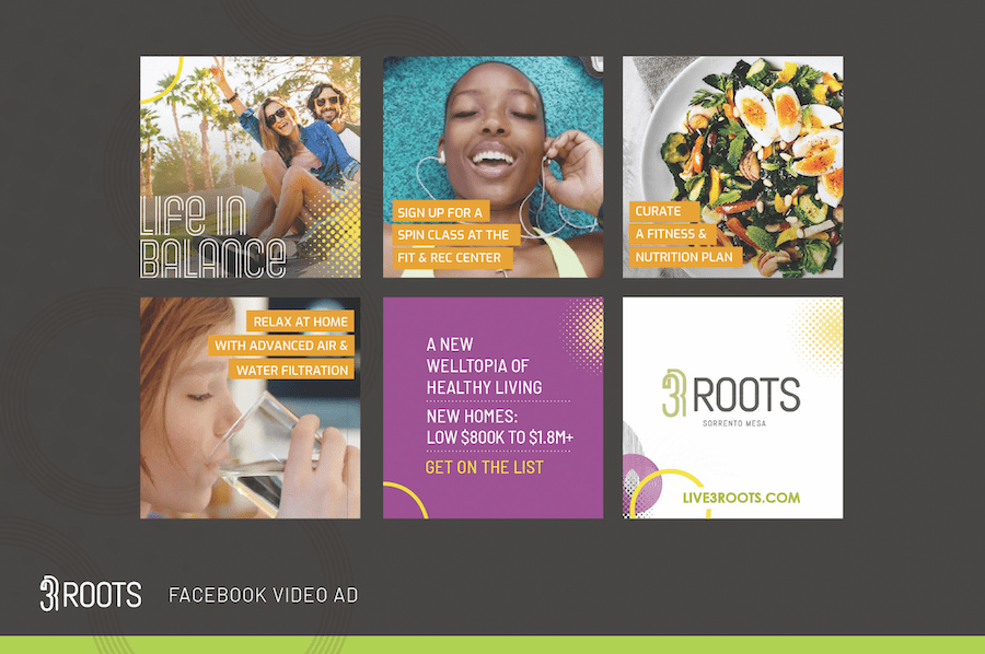 3Roots wins a 2024 Nationals award for best overall advertising campaign
