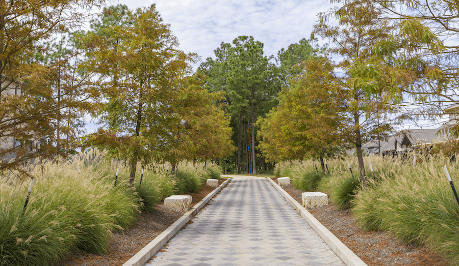 2022 Nationals Best Community Landscape winner, Artavia blue tree