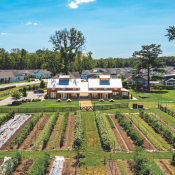 The Chickahominy Falls agrihood in Richmond, Va., includes a 10-acre working farm