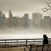 Bats flying over vampire on bench looking at New York City skyline