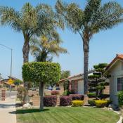 California homes in suburban neighborhood