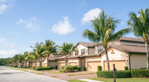 A residential street lined with Palm Trees in Fla.
