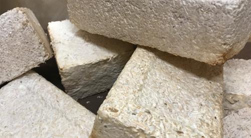 Bricks produced using mycelium, yard waste and wood chips as a part of the myco-architecture project. Similar materials could be used to build habitats on the Moon or Mars