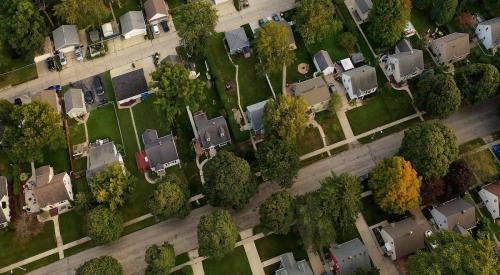 Aerial view of tree-lined suburban street