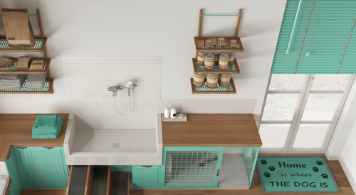 A room designed for pets with a dog-washing stations and more