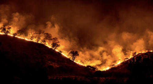 Trees aflame during the Woolsey Fire in California