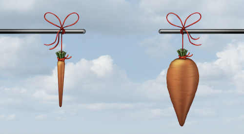 Carrots hanging from sticks as incentives for employees to put customers first