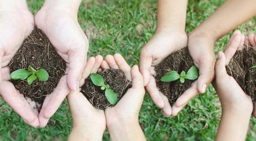 Community garden