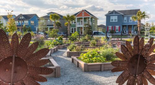 The community garden at the Lake Nona master planned community