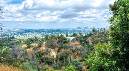 Los Angeles skyline seem from distance in dry forest experiencing drought