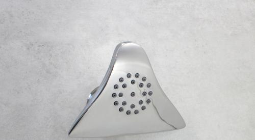 Showerhead in polished chrome mounted on wall