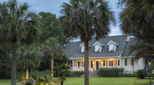 Southern home with palm trees