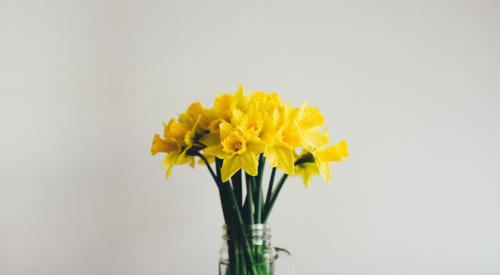 Daffodils in vase on table