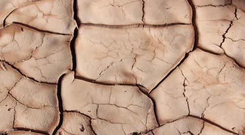 Cracked desert ground