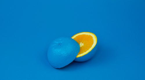 Halves of citrus fruit with blue rinds