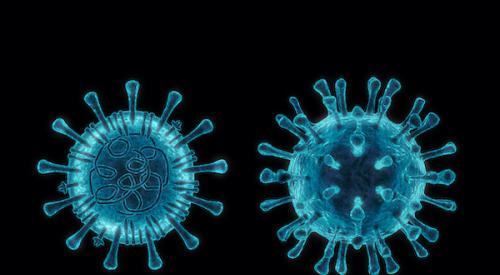 Coronavirus Health Risk