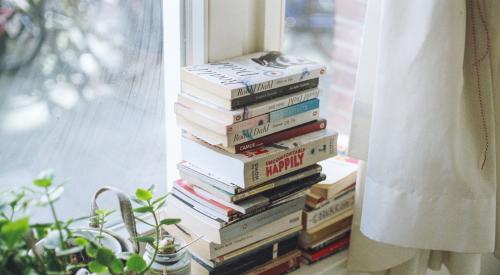 Apartment interior with books and plants on window ledge