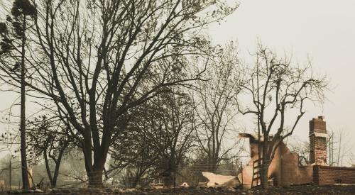 Chimney and scorched tree left behind by wildfire