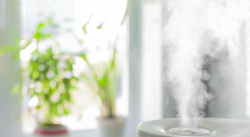 A humidifier in a home with indoor plants on the window sill for healthier indoor air