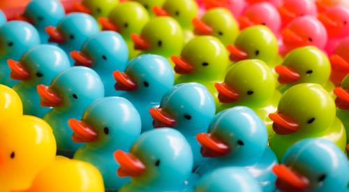 Rows of toy ducks