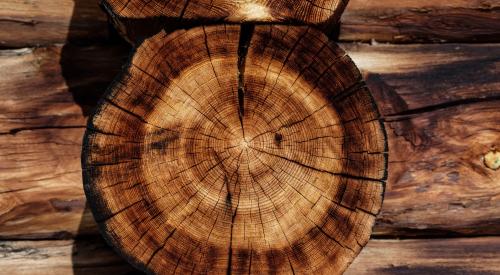 Timber logs