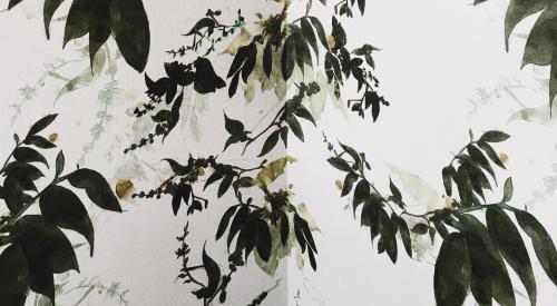 Plant wallpaper
