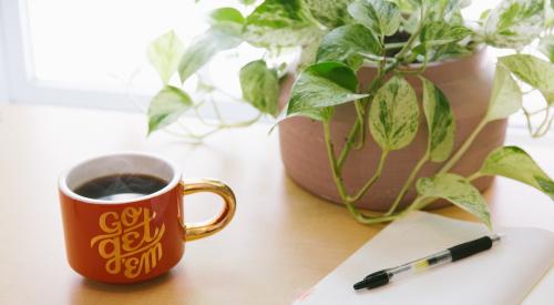 Mug, notebook, plant on table