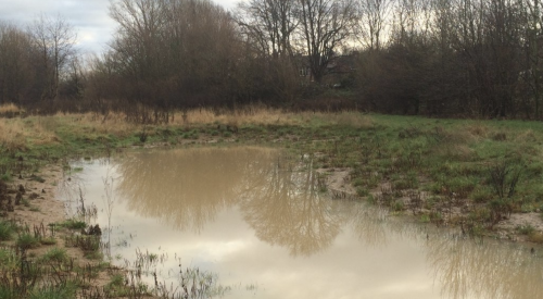 Mud puddle with water and surrounding trees is no longer subject to WOTUS regulations