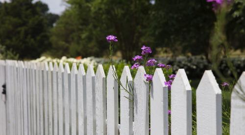 White picket fence with purple flowers
