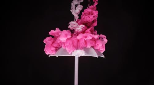Umbrella with pink smoke on top