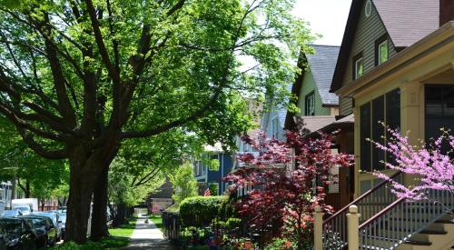 Houses in residential neighborhood with trees.