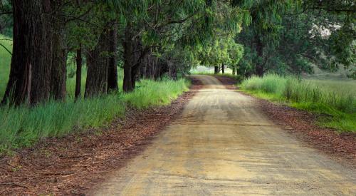 Country road