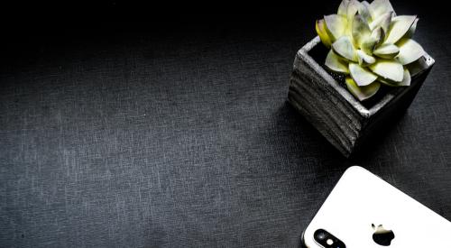 Smartphone and succulent plant