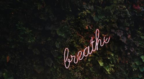 Neon sign that says 'breathe' over a wall of ivy