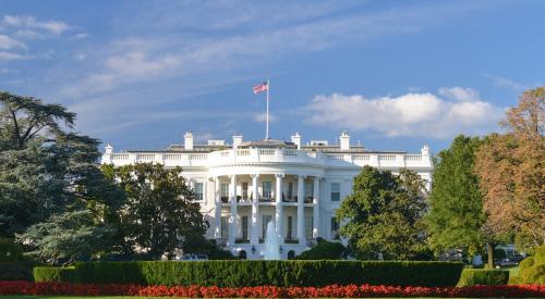 White house lawn