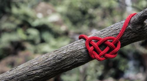 Red heart knot on tree limb